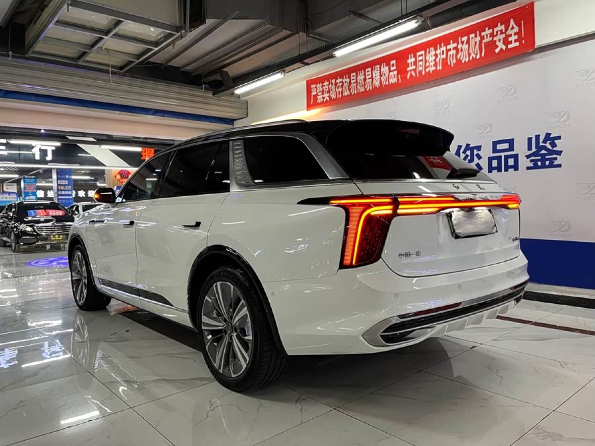 HongQi E-HS9 2021 #4 HongQi E-HS9 2021 immagine di auto #4