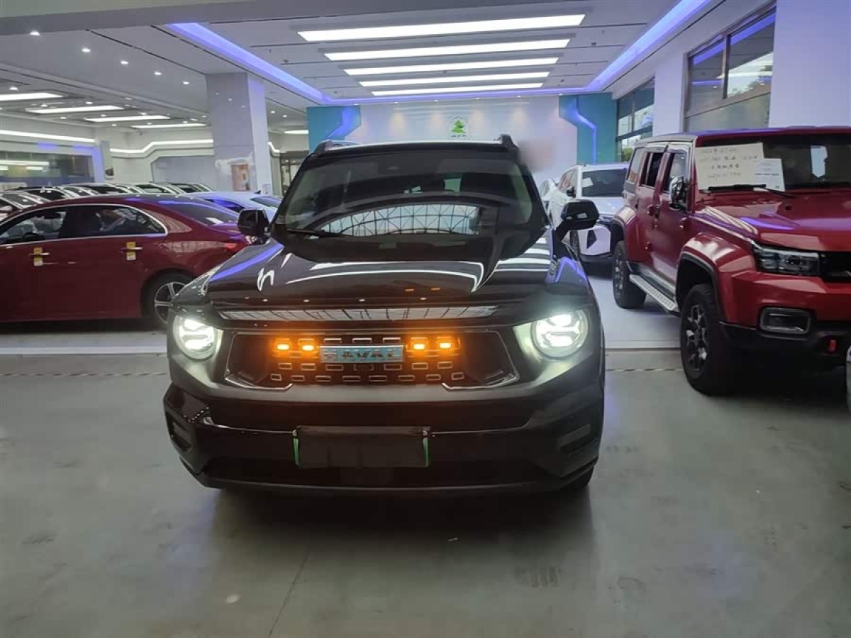 Haval X Dog 2 New Energy 2023 car image #4