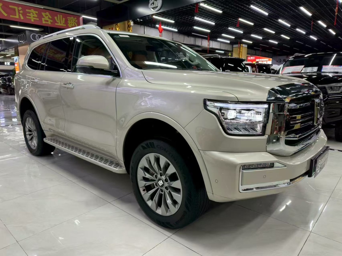 Tank 500 New Energy 2024 car image #4