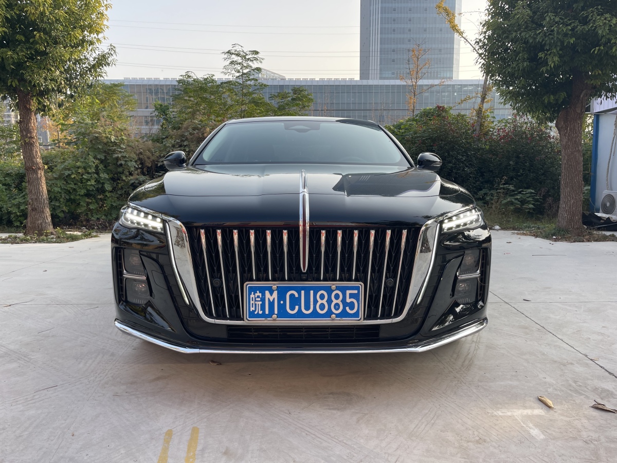 HongQi H5 2023 car image #4