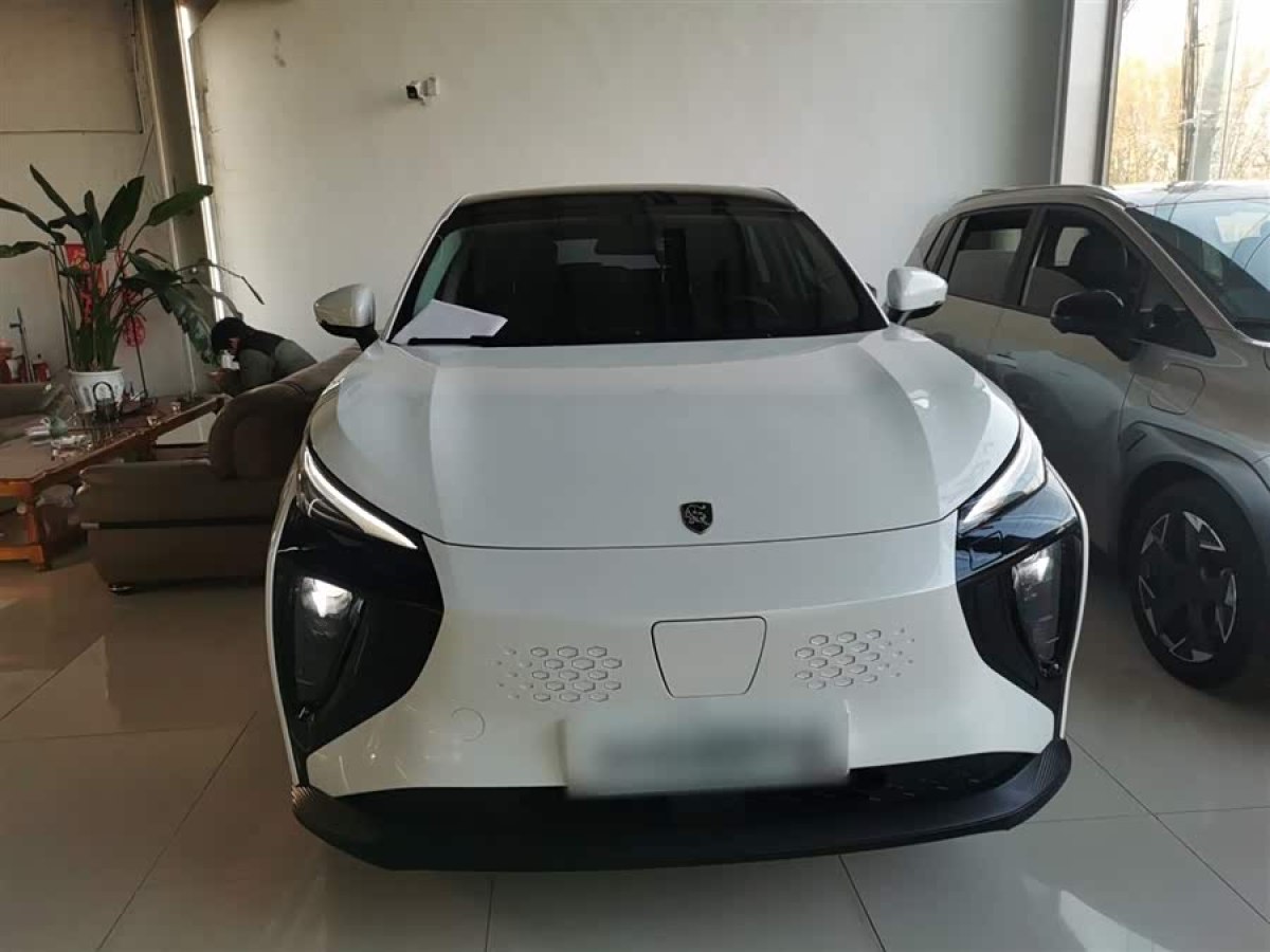 Forthing Thunder 2024 изображение автомобиля #4