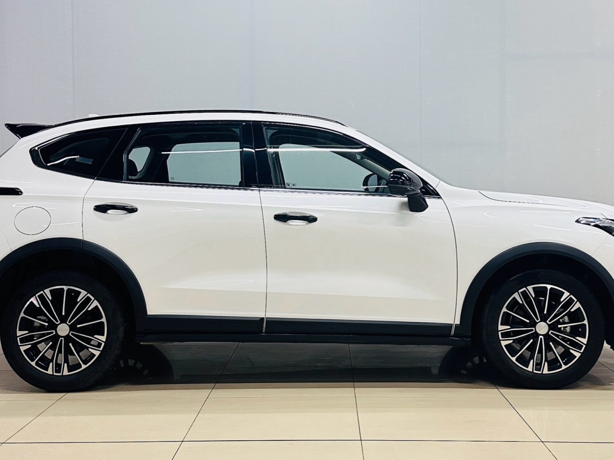 Haval Rabbit 2024 صورة سيارة #4