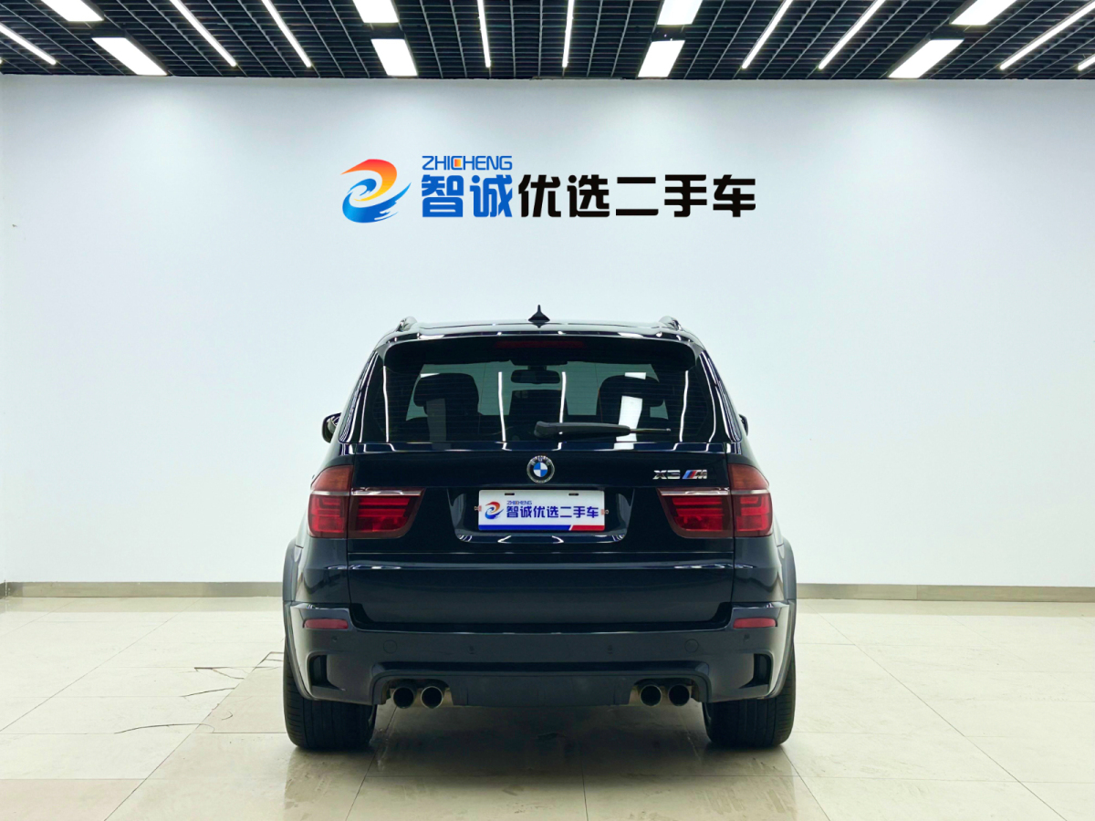 BMW X5 M 2010 car image #4