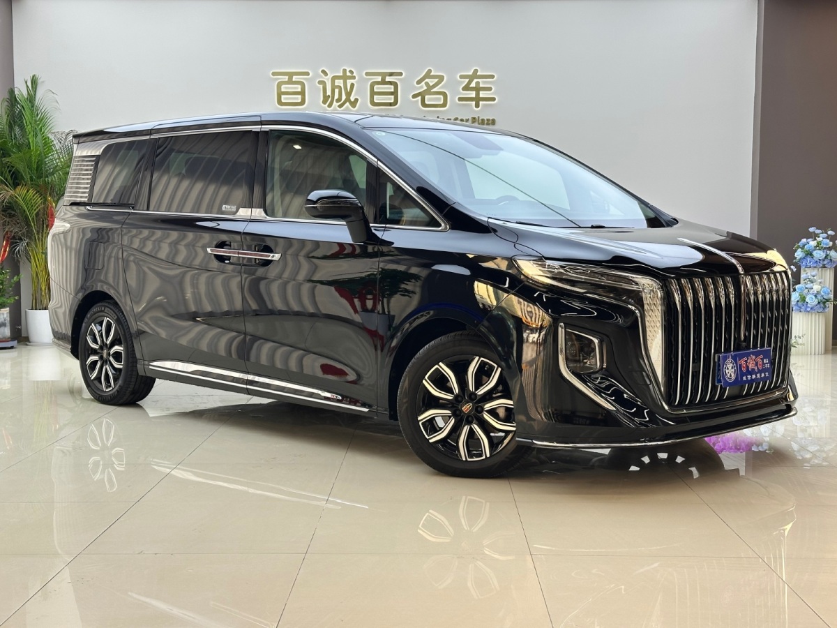 HongQi HQ9 2023 car image #4