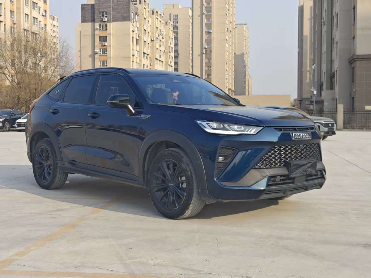 Haval H6S 2021 immagine di auto #4
