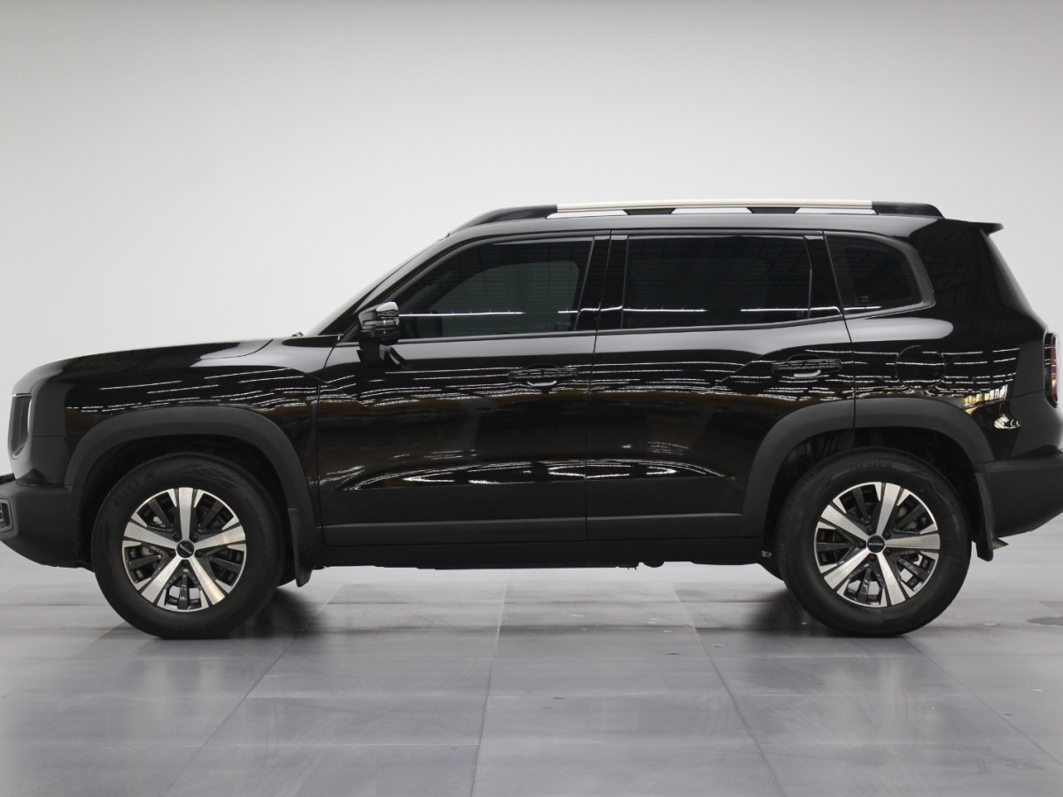 Haval X Dog / Dargo 2021 car image #4