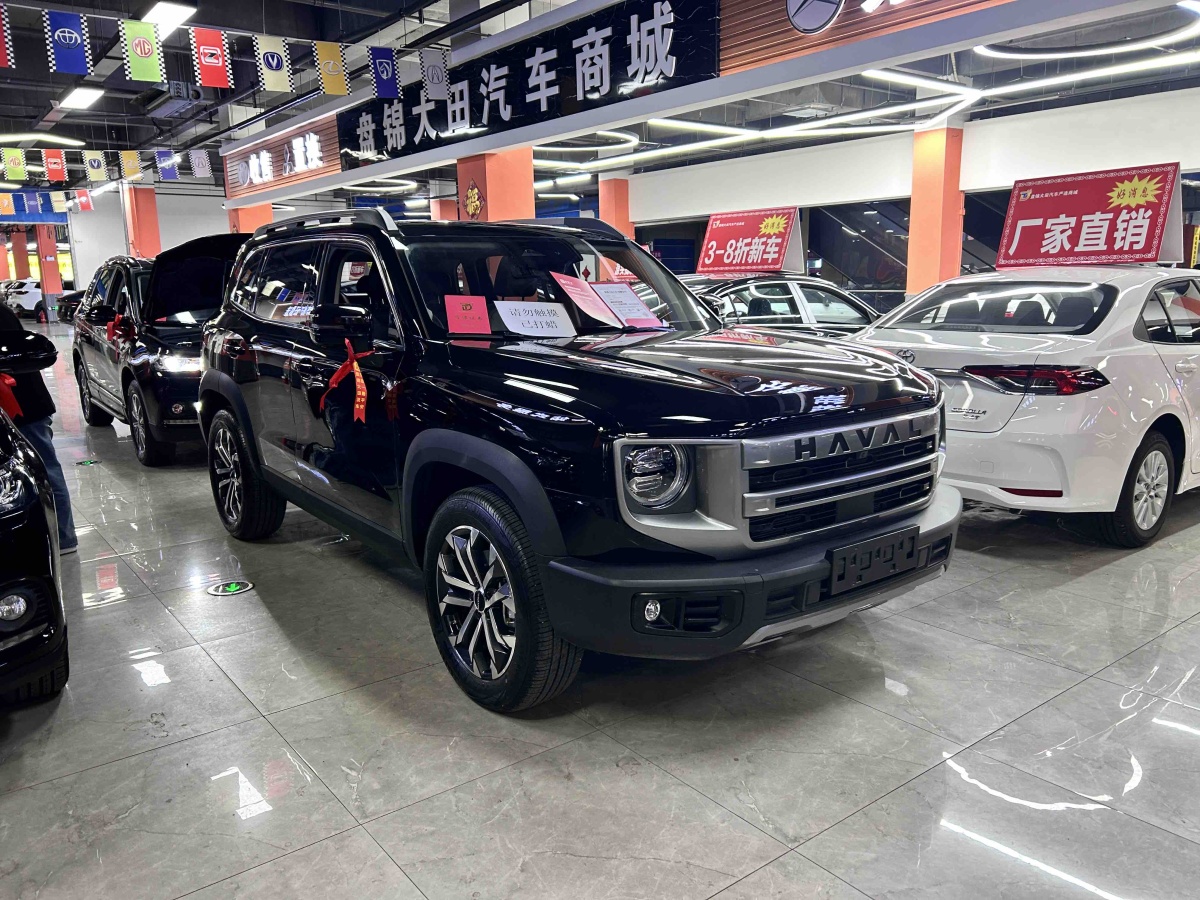 Haval X Dog / Dargo 2024 car image #4