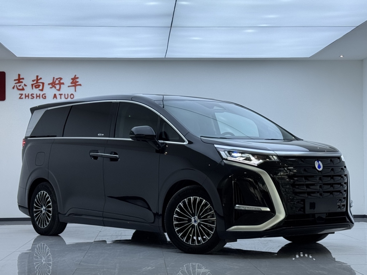 Denza N8L 2023 imagem de carro #4