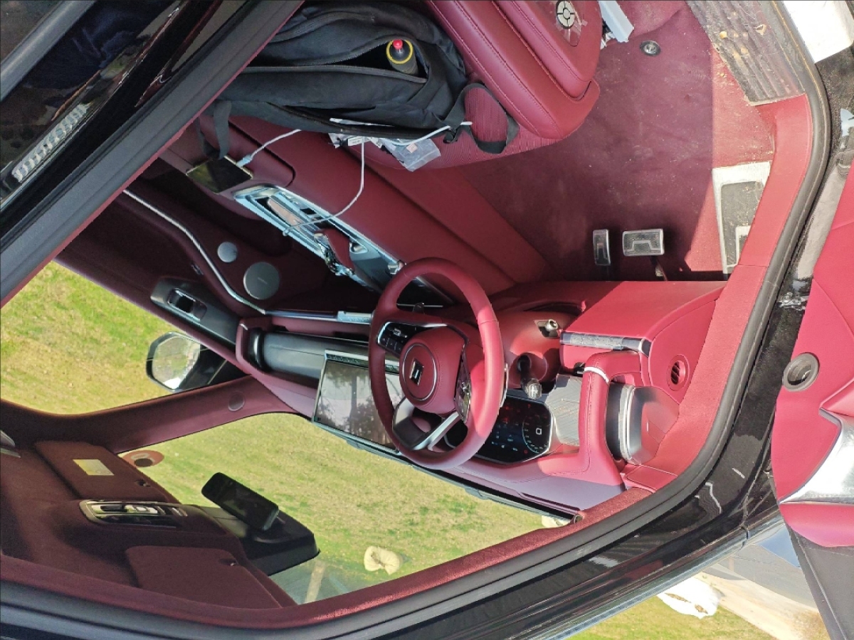 Tank 700 New Energy 2025 #4 Tank 700 New Energy 2025 immagine di auto #4