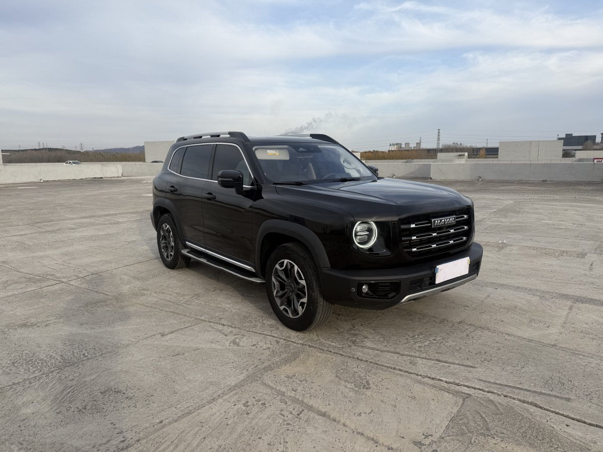 Haval X Dog / Dargo 2021 car image #4