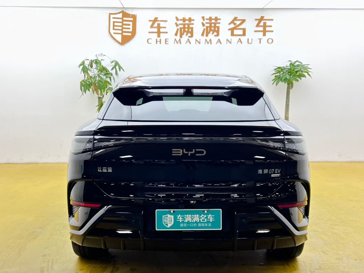 BYD Sea Lion 07 EV 2025 car image #4