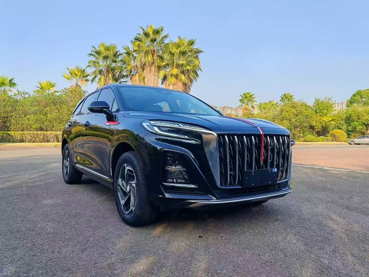 HongQi HS3 2024 immagine di auto #4