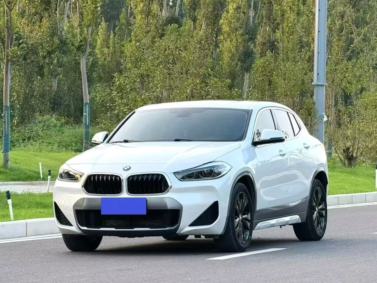 BMW X2 2019 immagine di auto #4