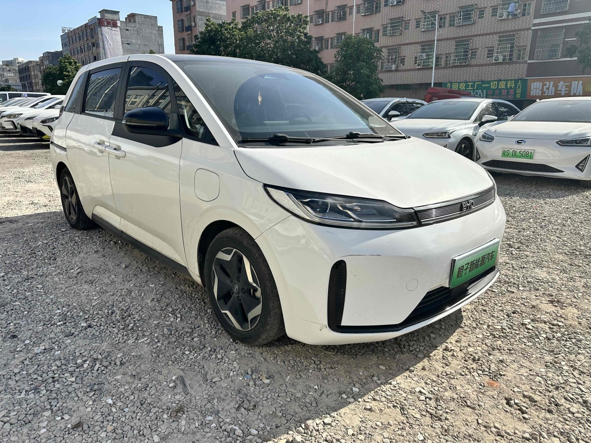 BYD D1 2021 #4 BYD D1 2021 car image #4