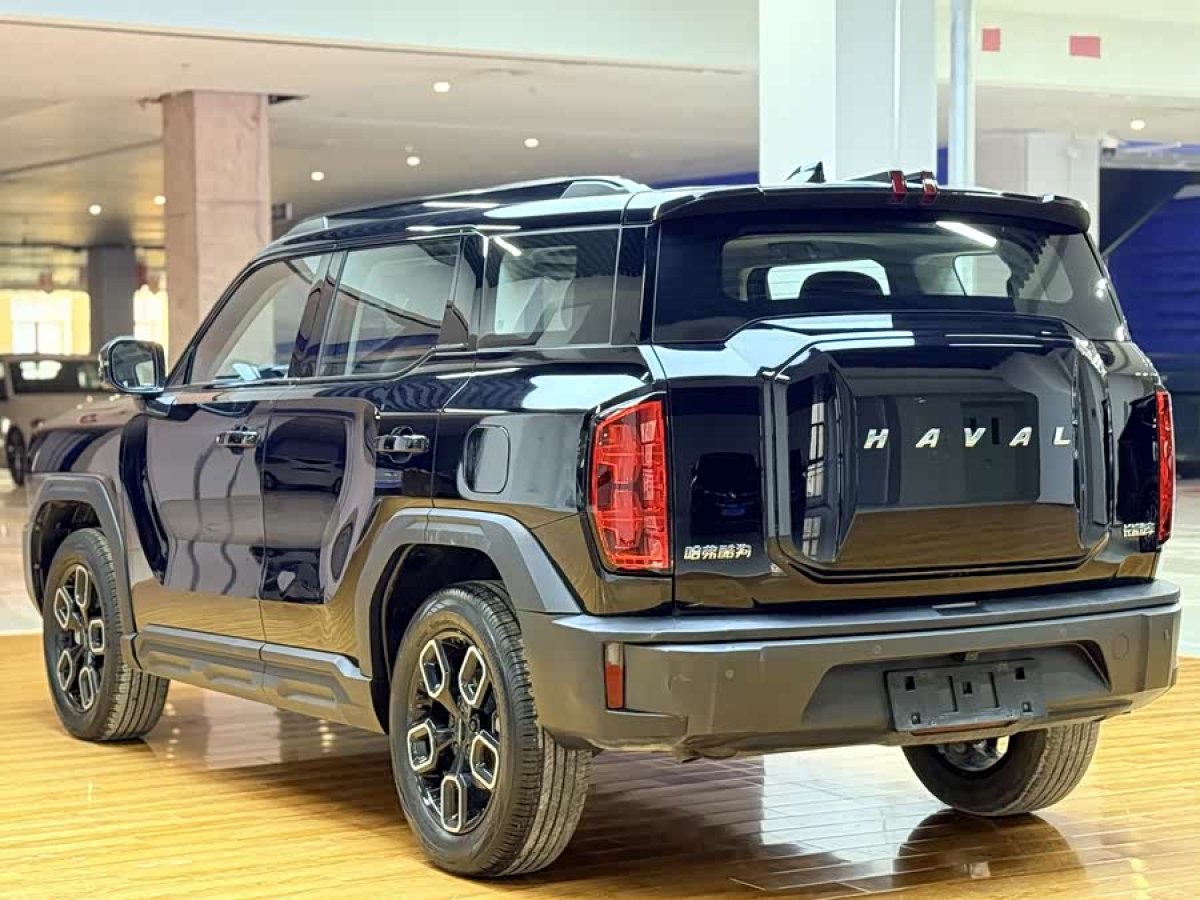 Haval Dargo 2023 car image #4