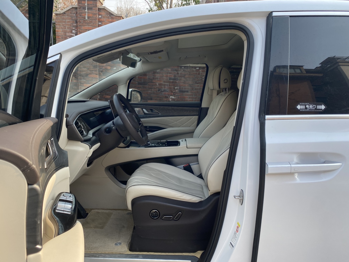 Denza D9 2024 imagen de coche #4