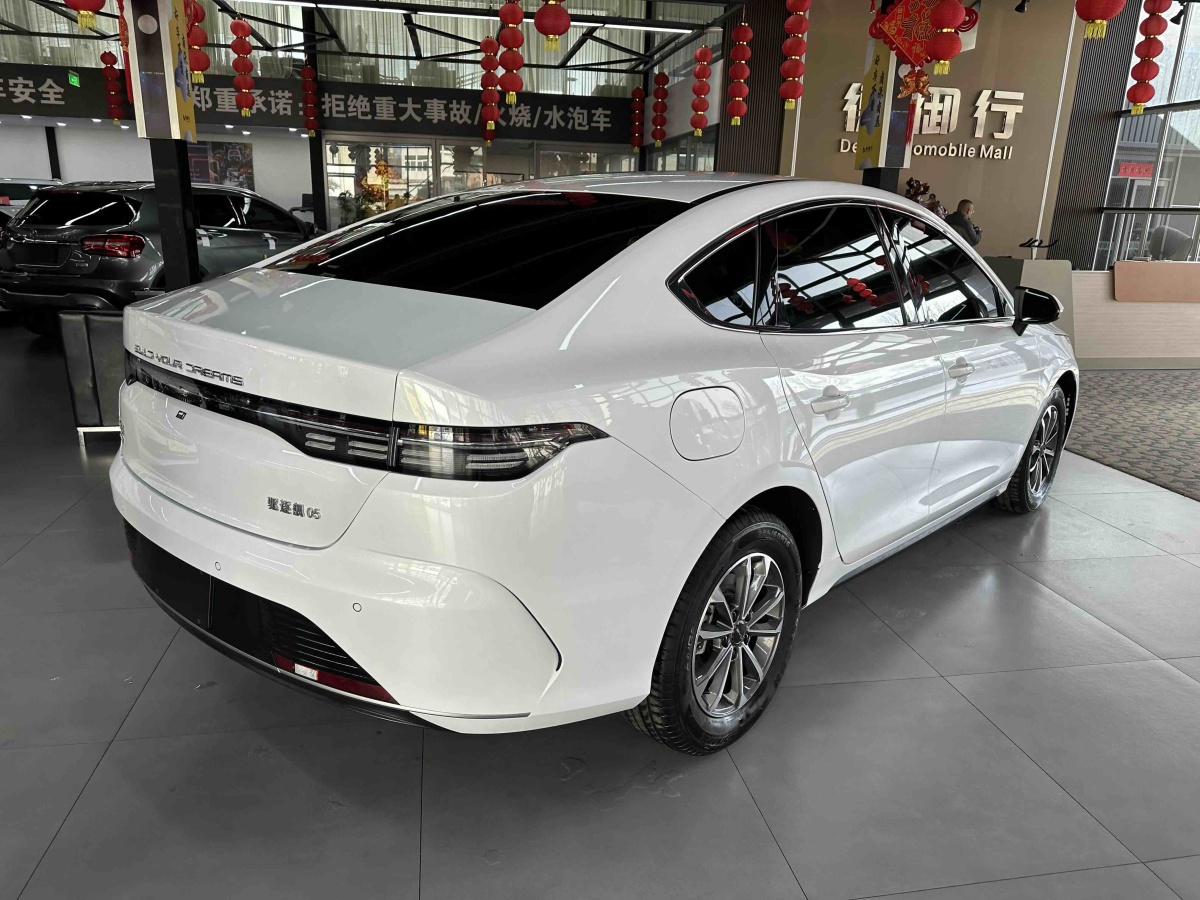 BYD Destroyer 05 2024 immagine di auto #4