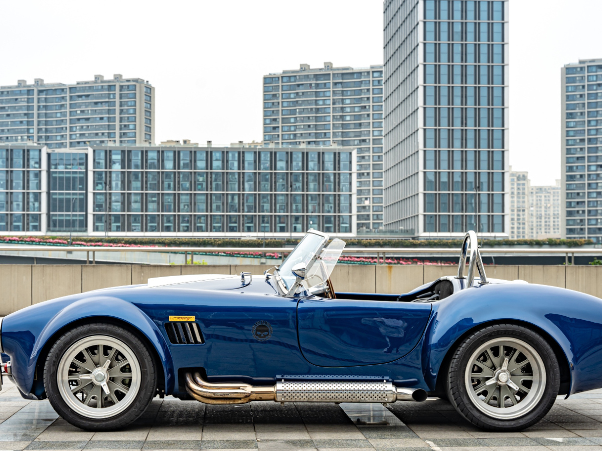 Ford 2010 car image #4