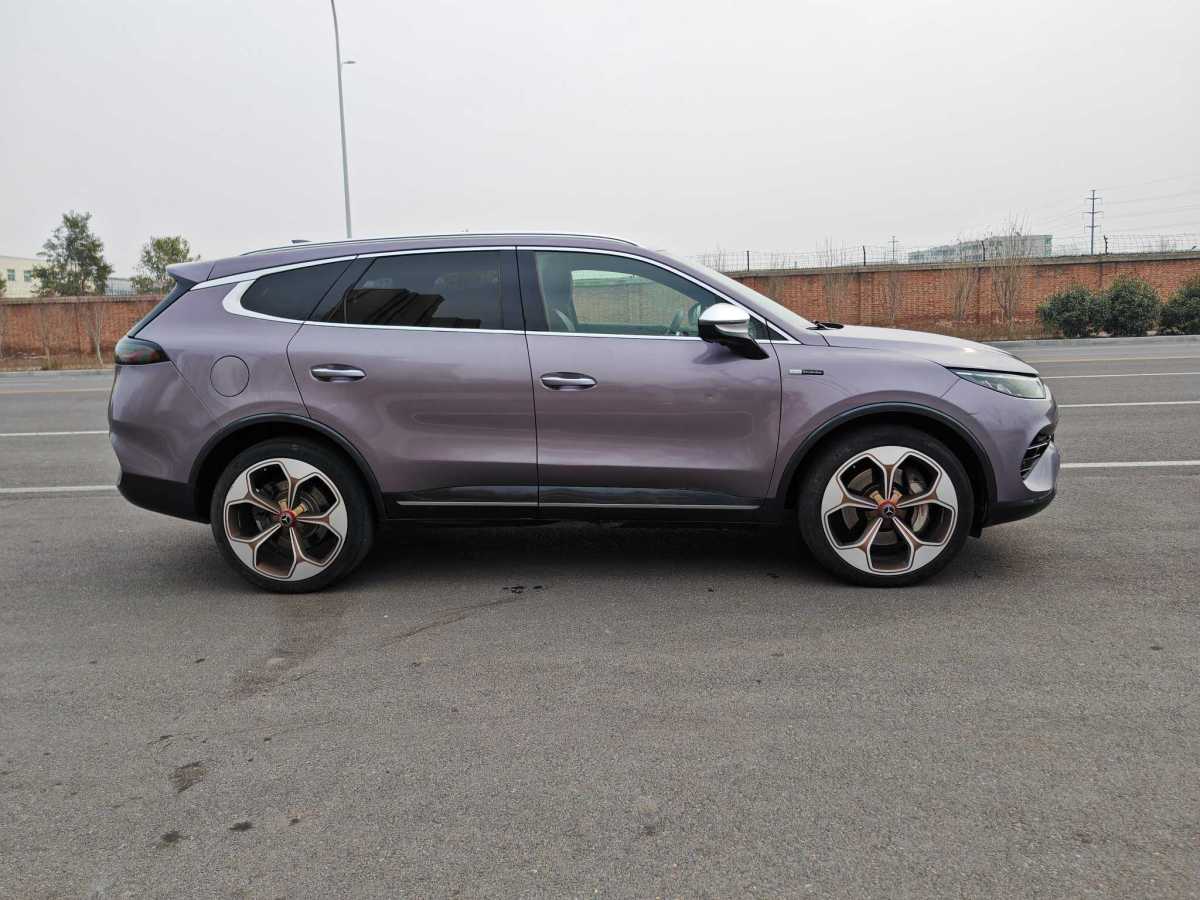 Denza X 2020 imagem de carro #4