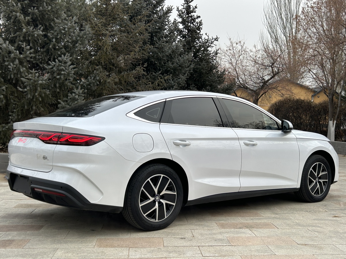 BYD Qin L 2024 car image #4