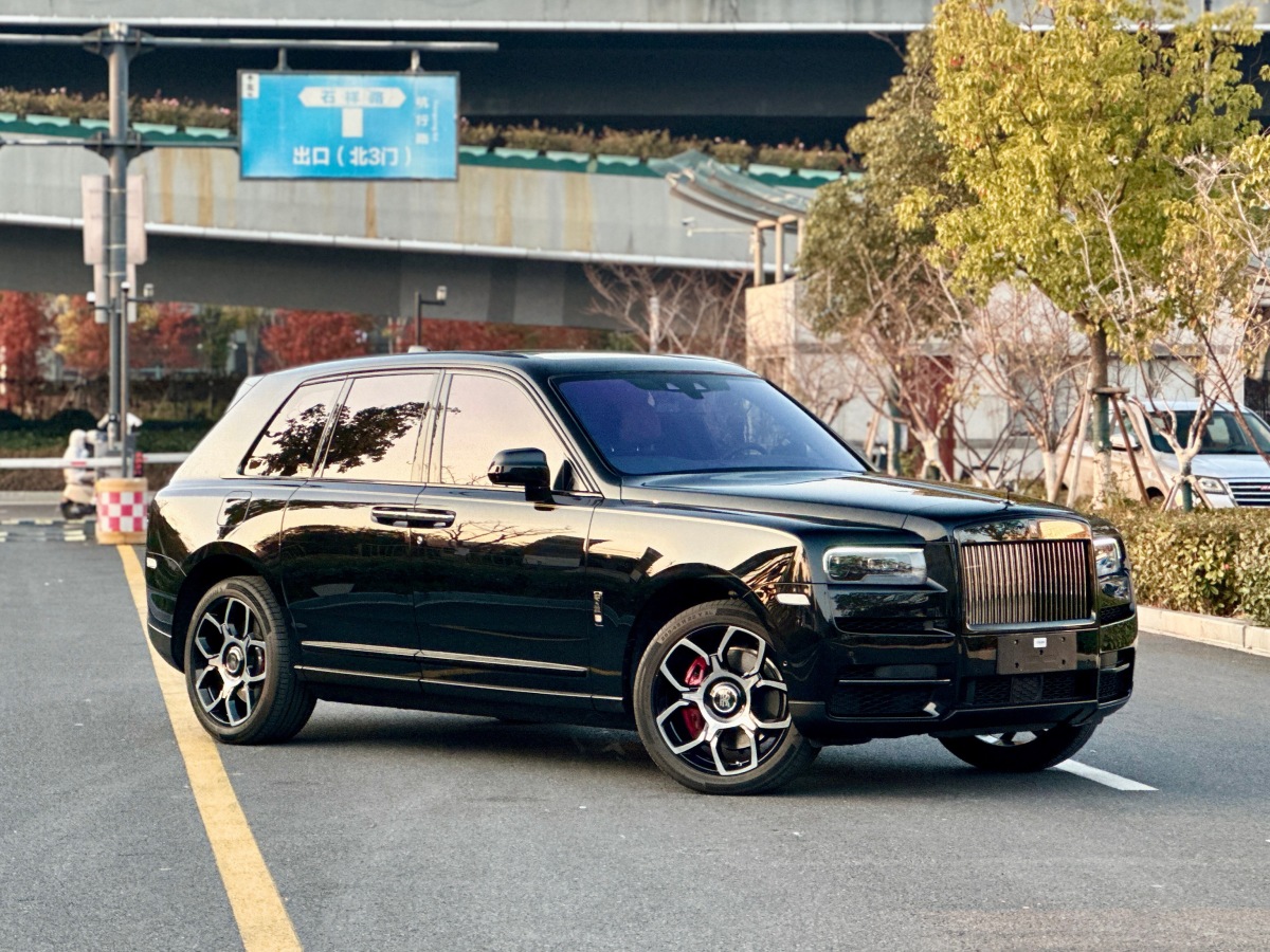 Rolls-Royce Cullinan 2022 immagine di auto #4