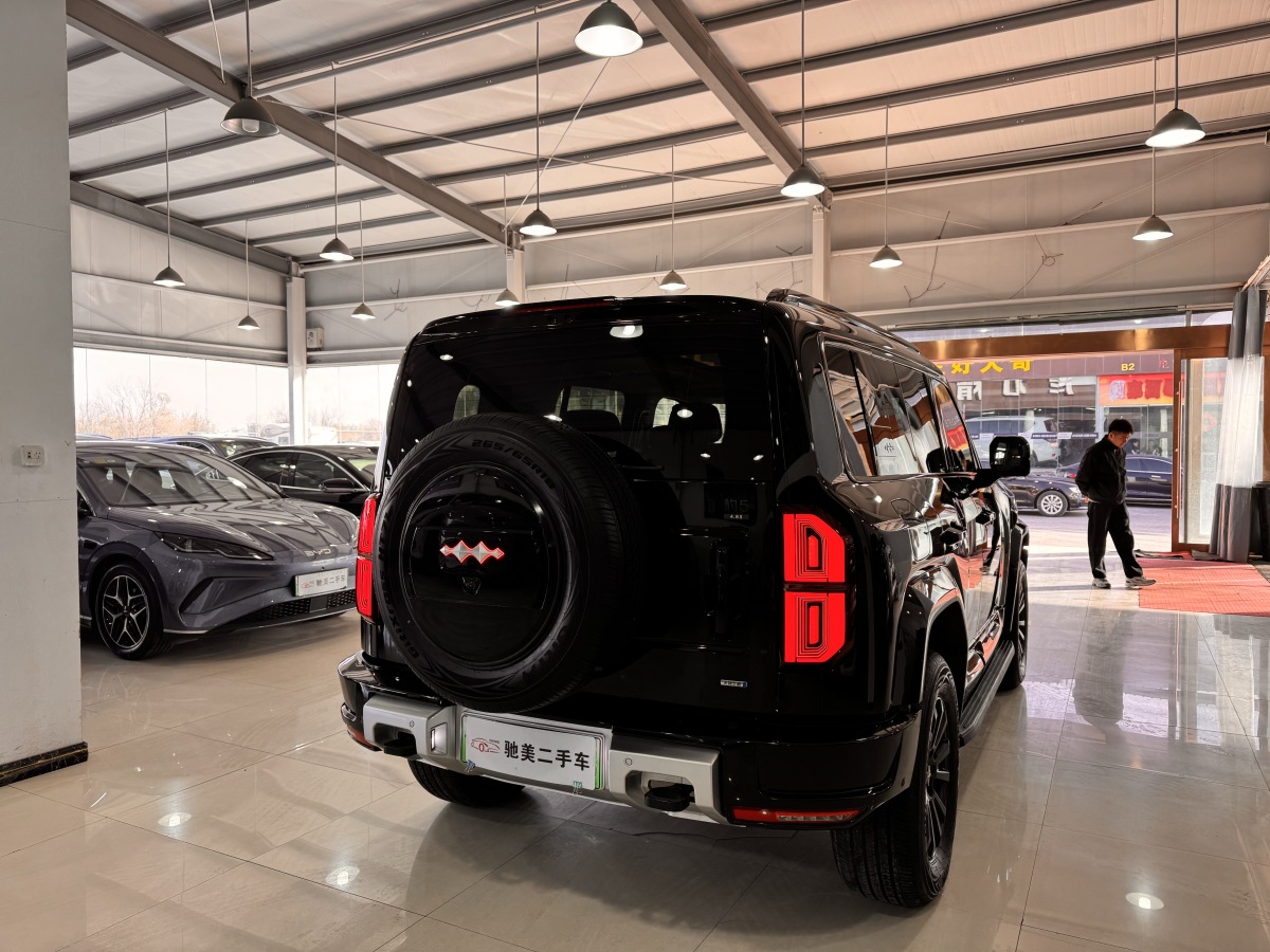 FangChengBao Leopard 5 2025 car image #4