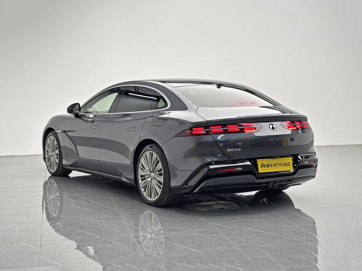 Denza Z9 2024 immagine di auto #4