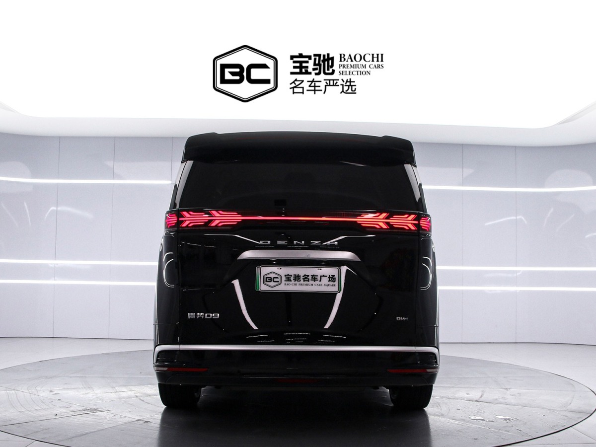 Denza D9 2024 car image #4