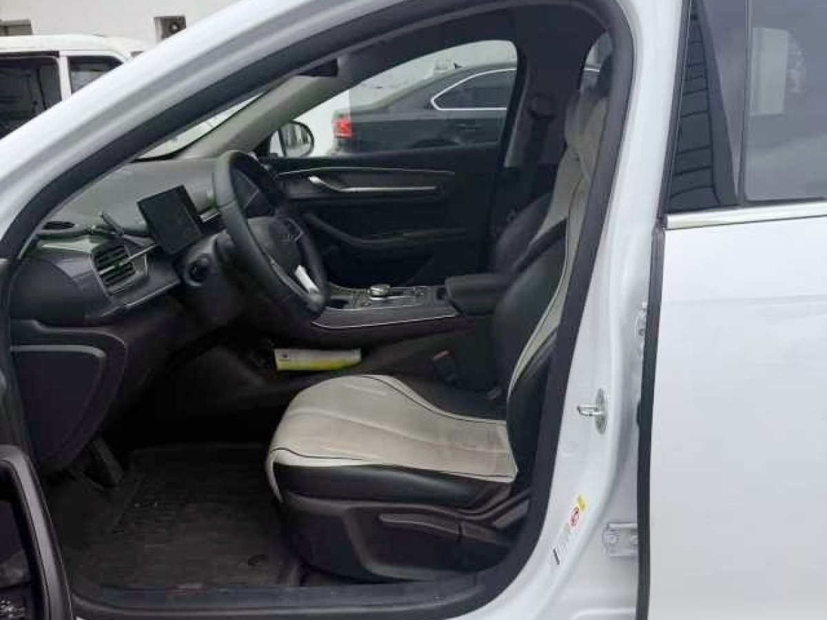 BYD Destroyer 05 2024 car image #4