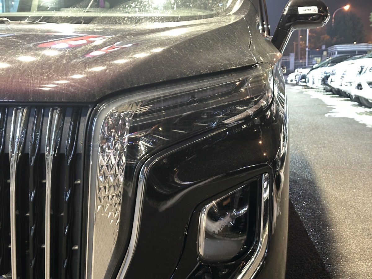 HongQi HQ9 PHEV 2024 car image #4