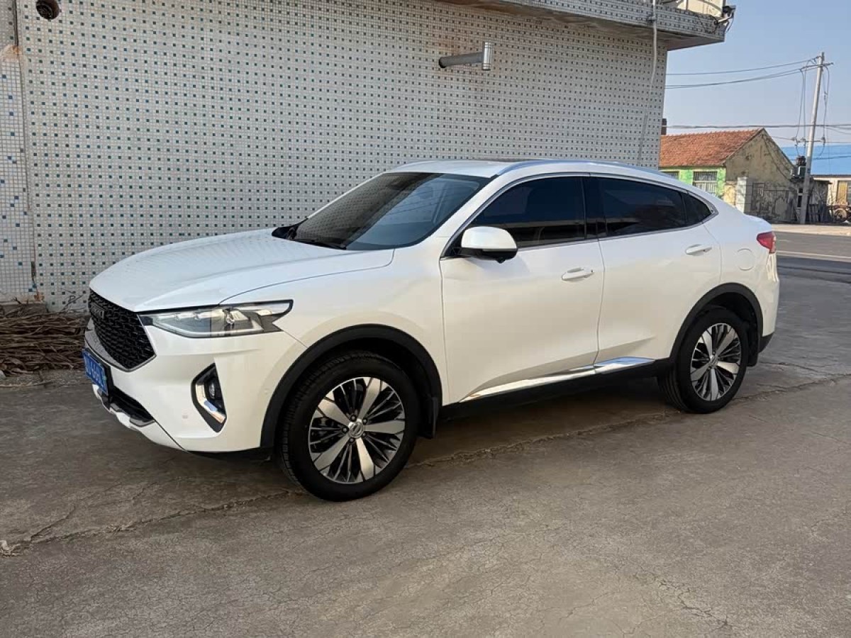 Haval F7x 2019 immagine di auto #4