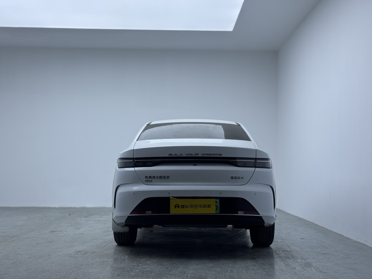 BYD Destroyer 05 2024 imagem de carro #4