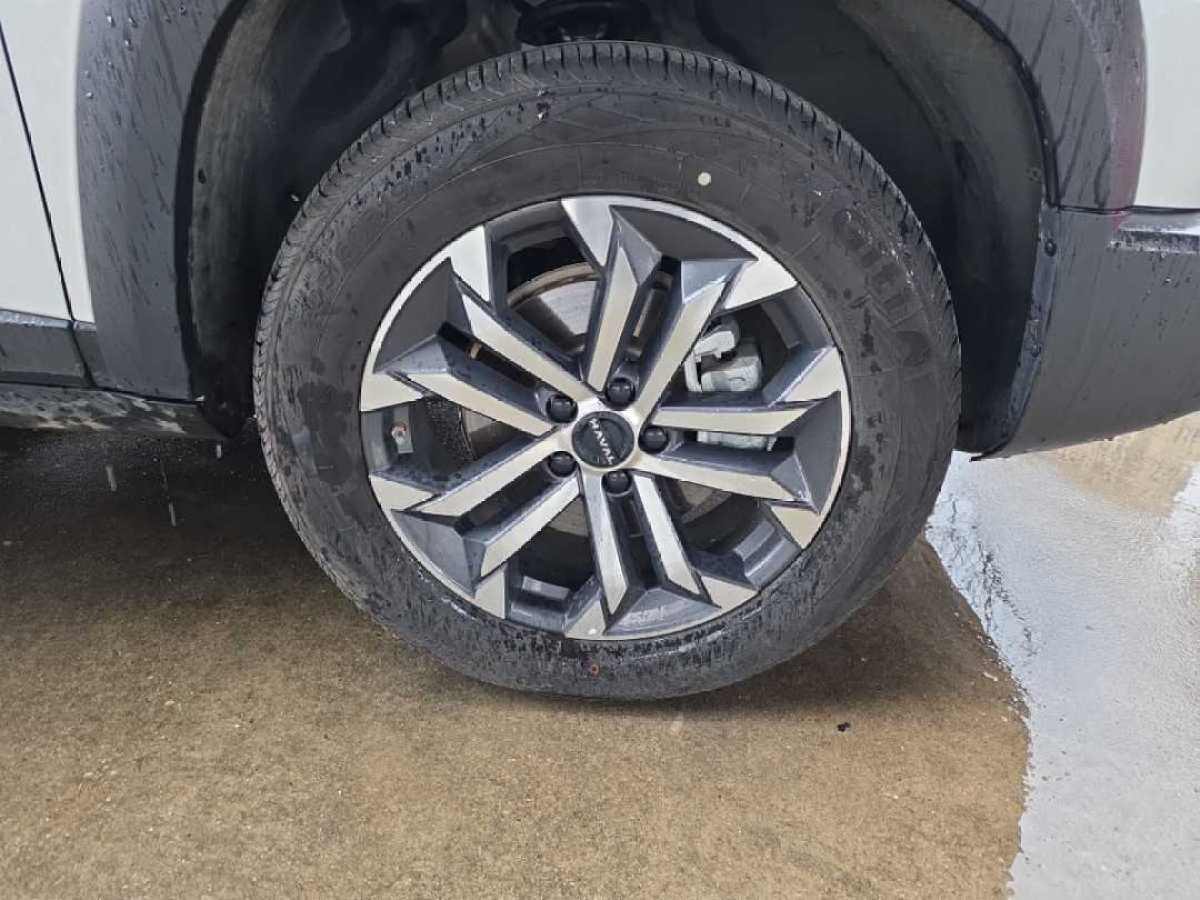 Haval X Dog / Dargo 2025 #4 Haval X Dog / Dargo 2025 car image #4