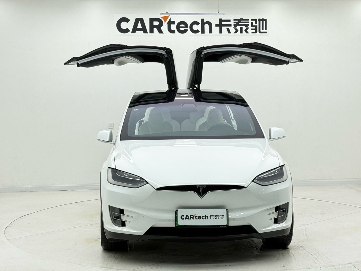 Tesla Model X 2020 immagine di auto #4