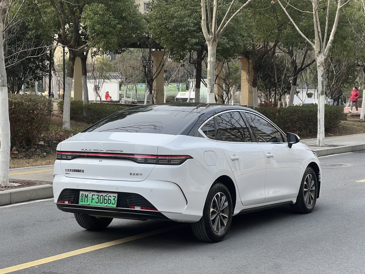 BYD Destroyer 05 2024 car image #4