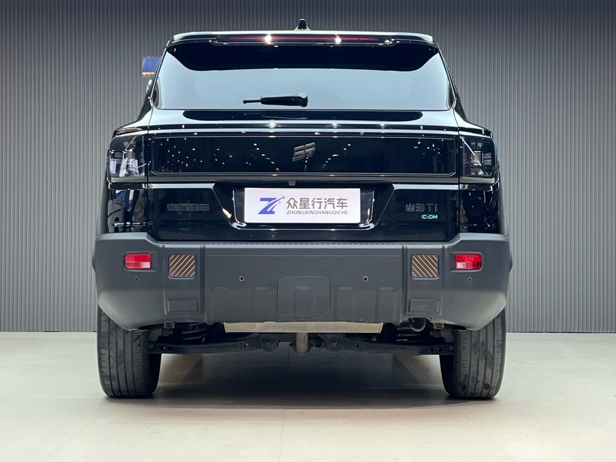 Jetour Shanhai T1 2024 изображение автомобиля #4