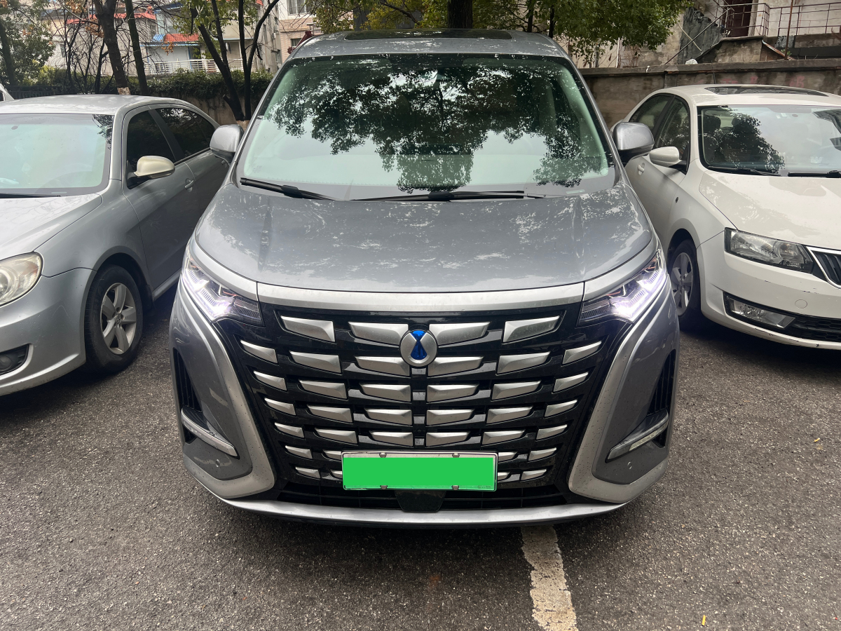 Denza D9 2023 #4 Denza D9 2023 immagine di auto #4