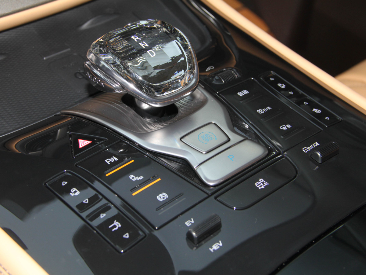 Denza D9 2025 car image #4