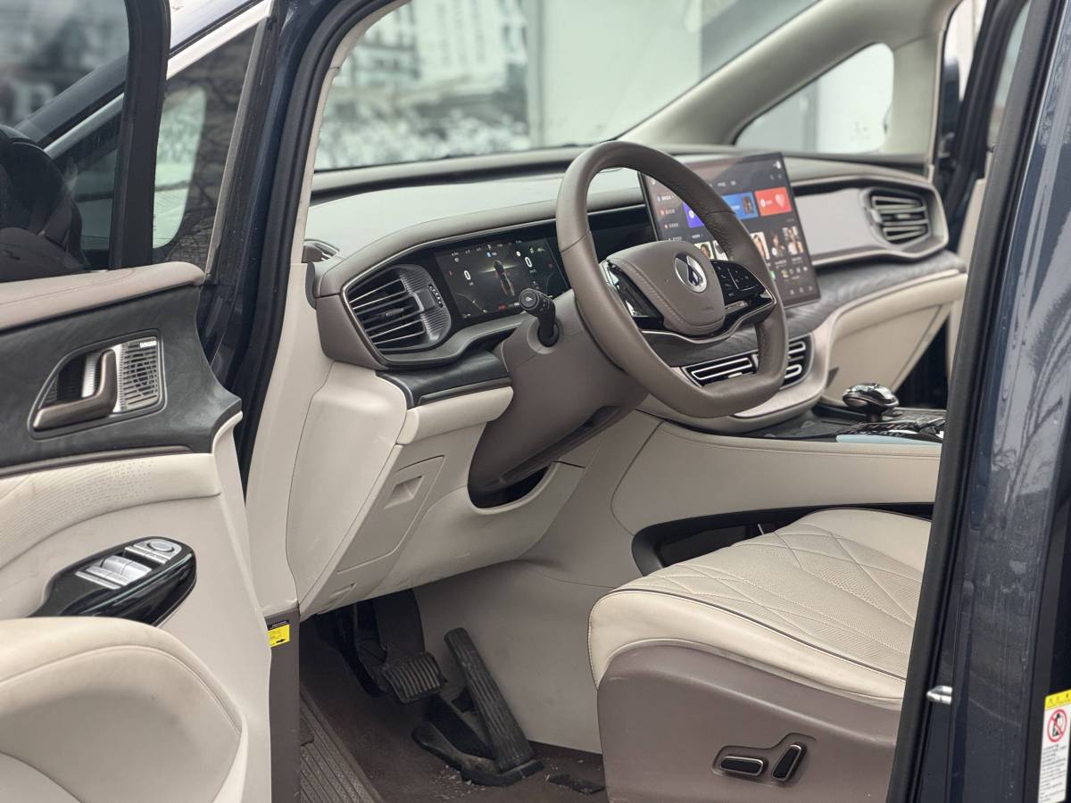 Denza D9 2023 car image #4