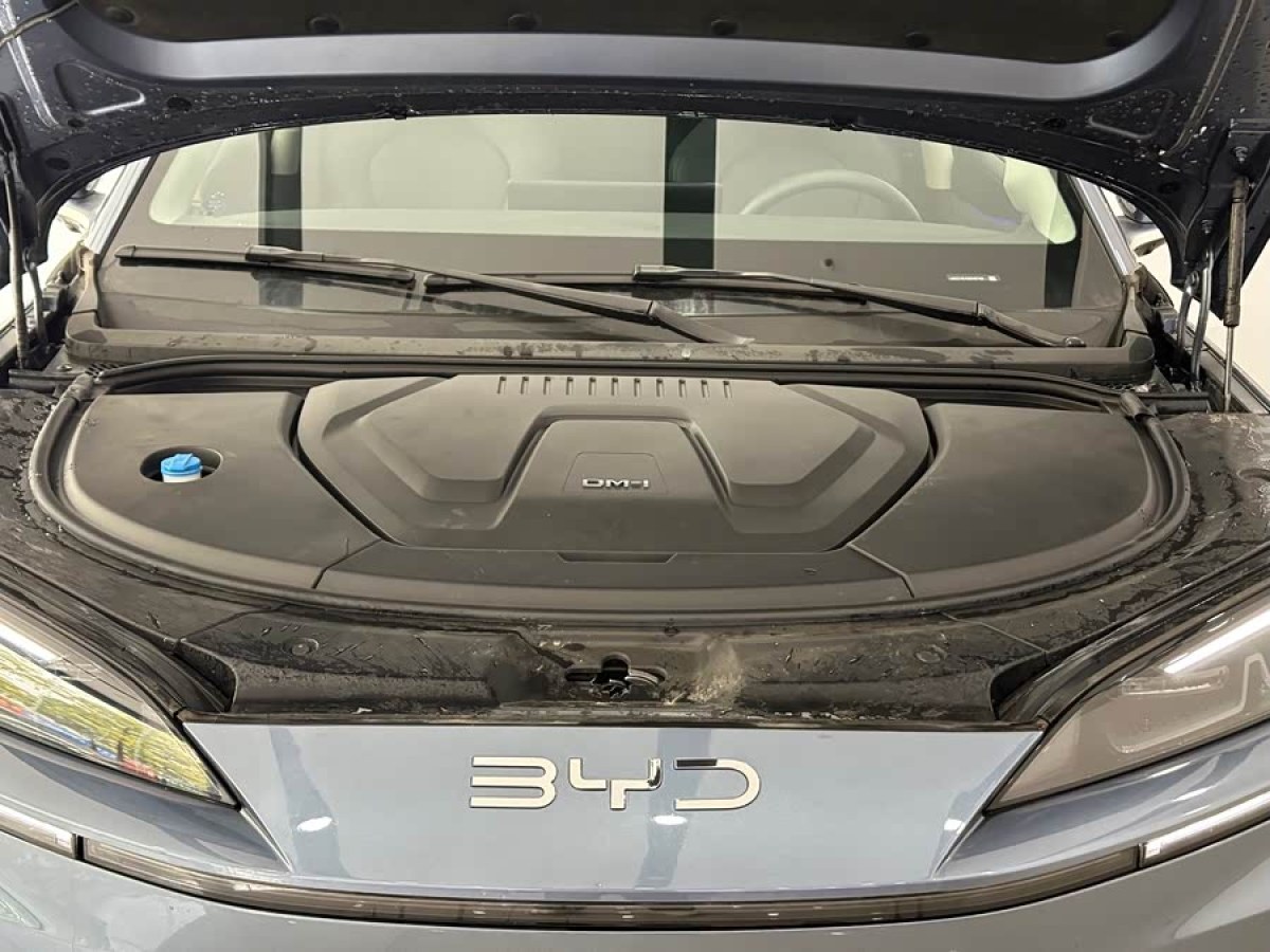 BYD Sea Lion 07 DM-i 2025 car image #4