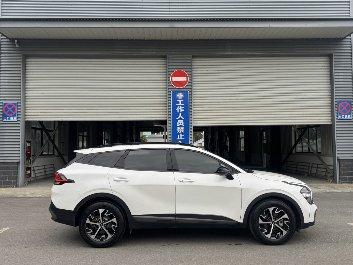 Kia Sportage 2024 car image #4