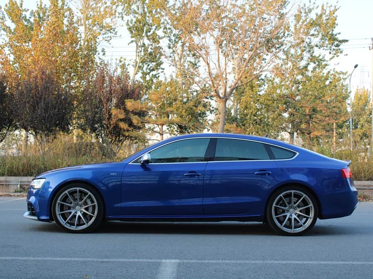 Audi S5 2012 #4 Audi S5 2012 car image #4