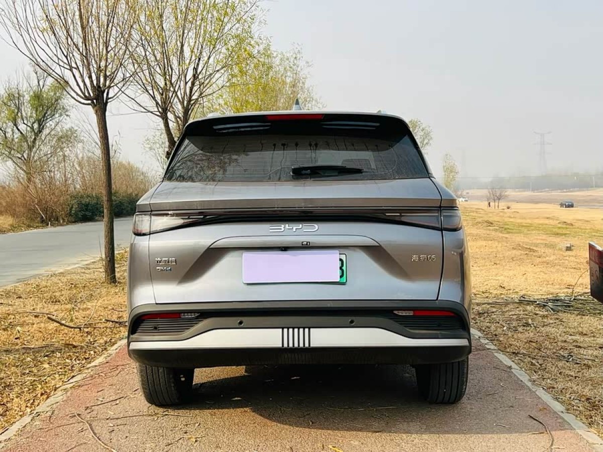 BYD Sea Lion 05 DM-i 2024 car image #4