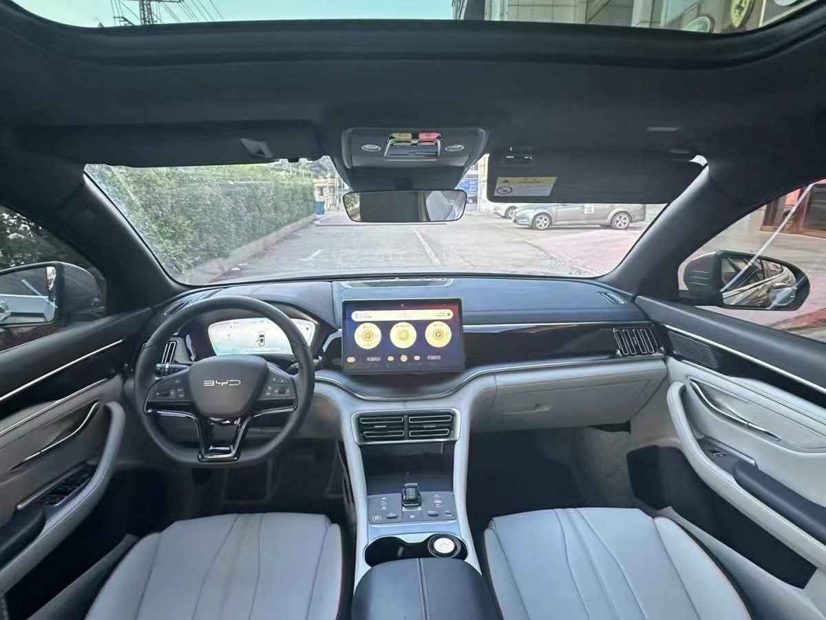 BYD Song Plus New Energy 2025 car image #4