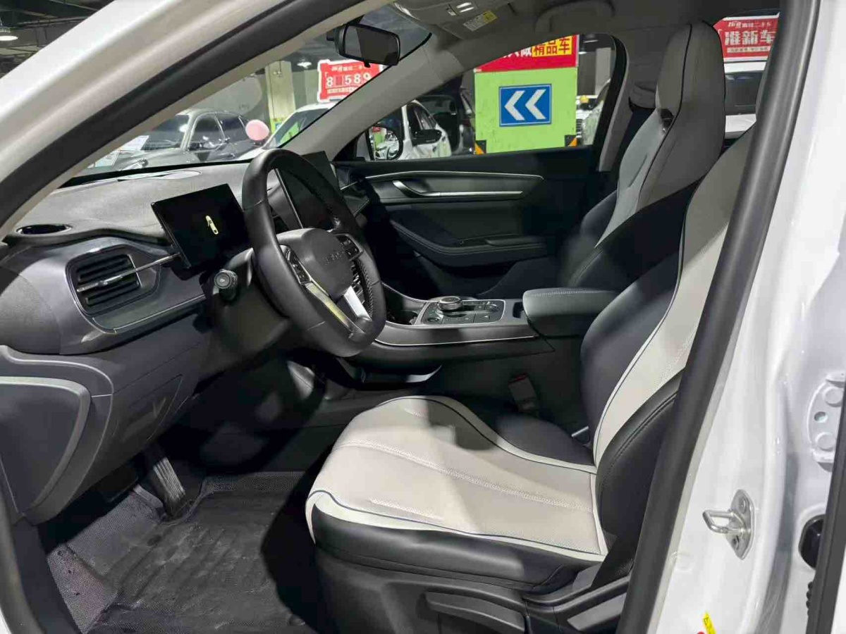 BYD Destroyer 05 2024 imagen de coche #4