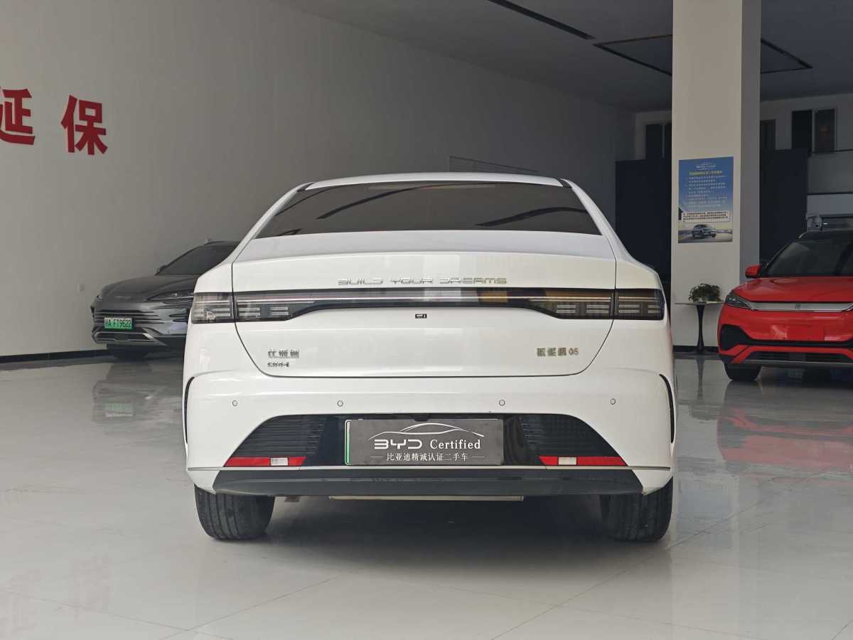 BYD Destroyer 05 2024 imagen de coche #4