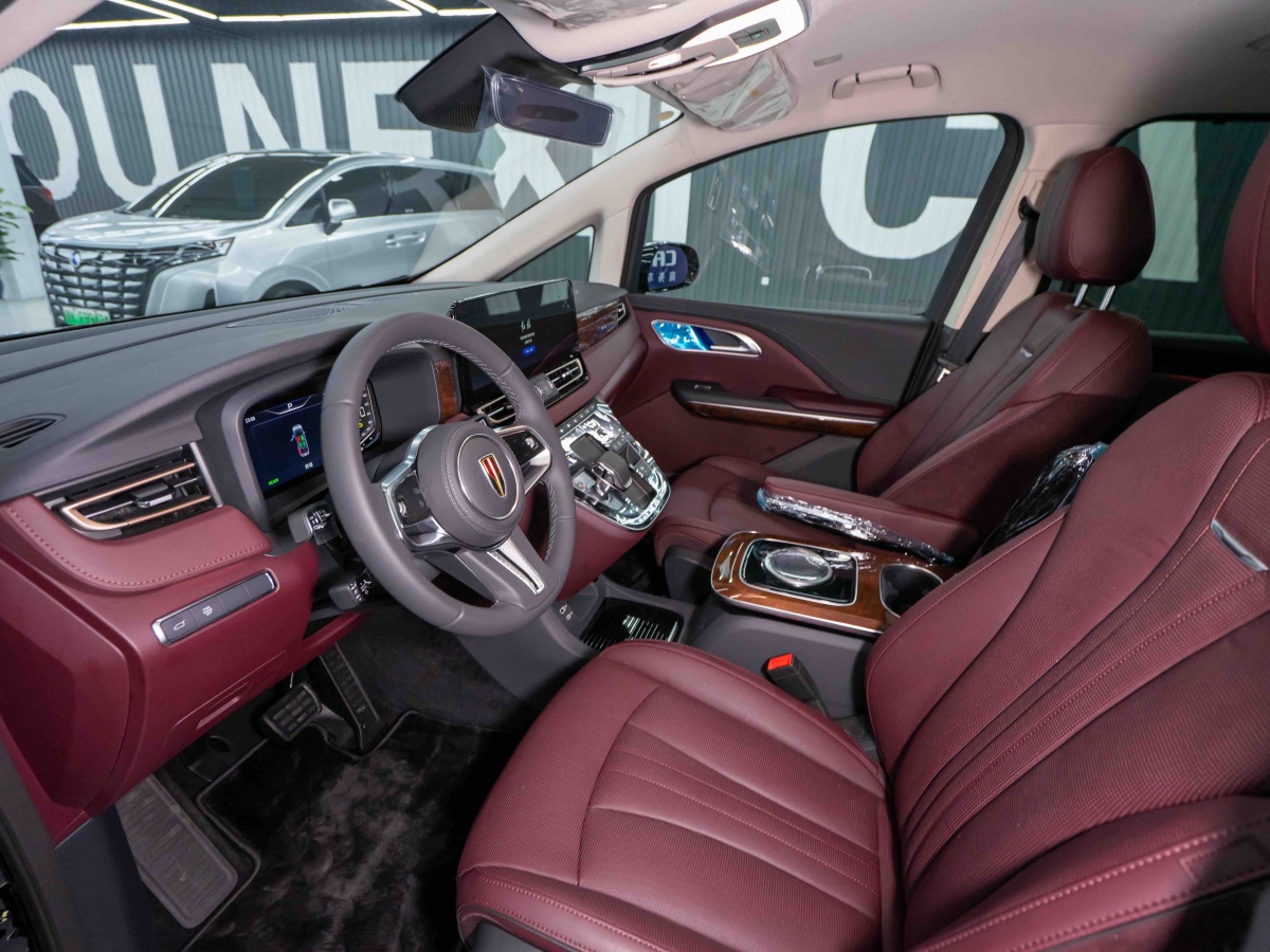 HongQi HQ9 2023 immagine di auto #4