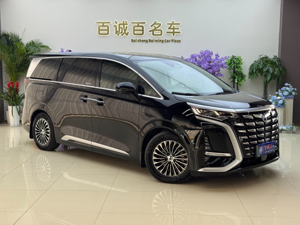 Denza D9 2023 image de voiture #4