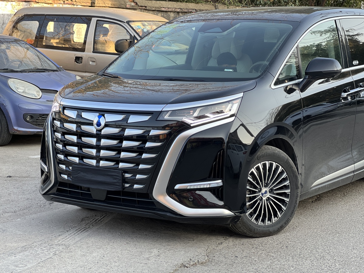 Denza D9 2023 image de voiture #4