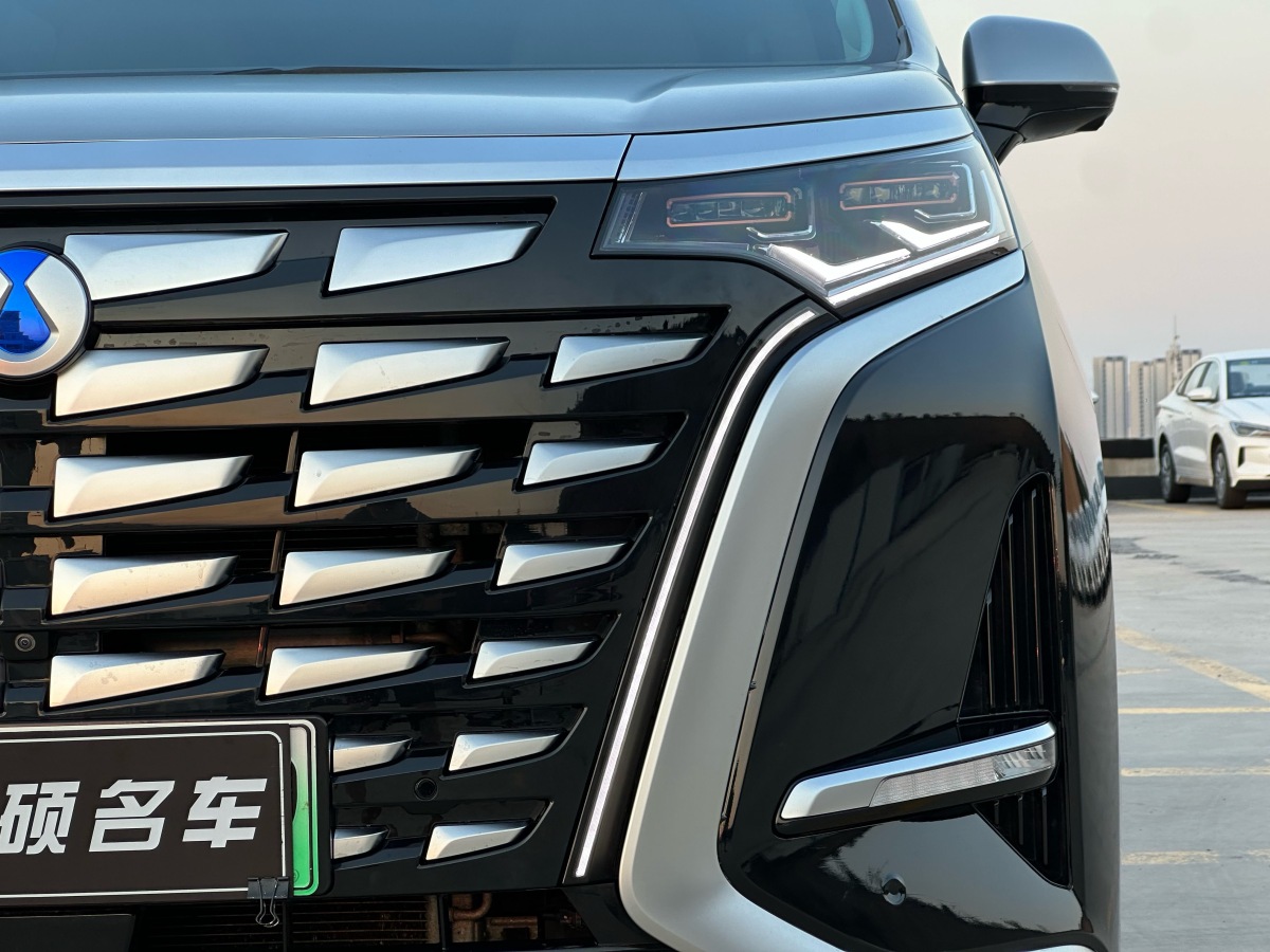 Denza D9 2023 imagem de carro #4